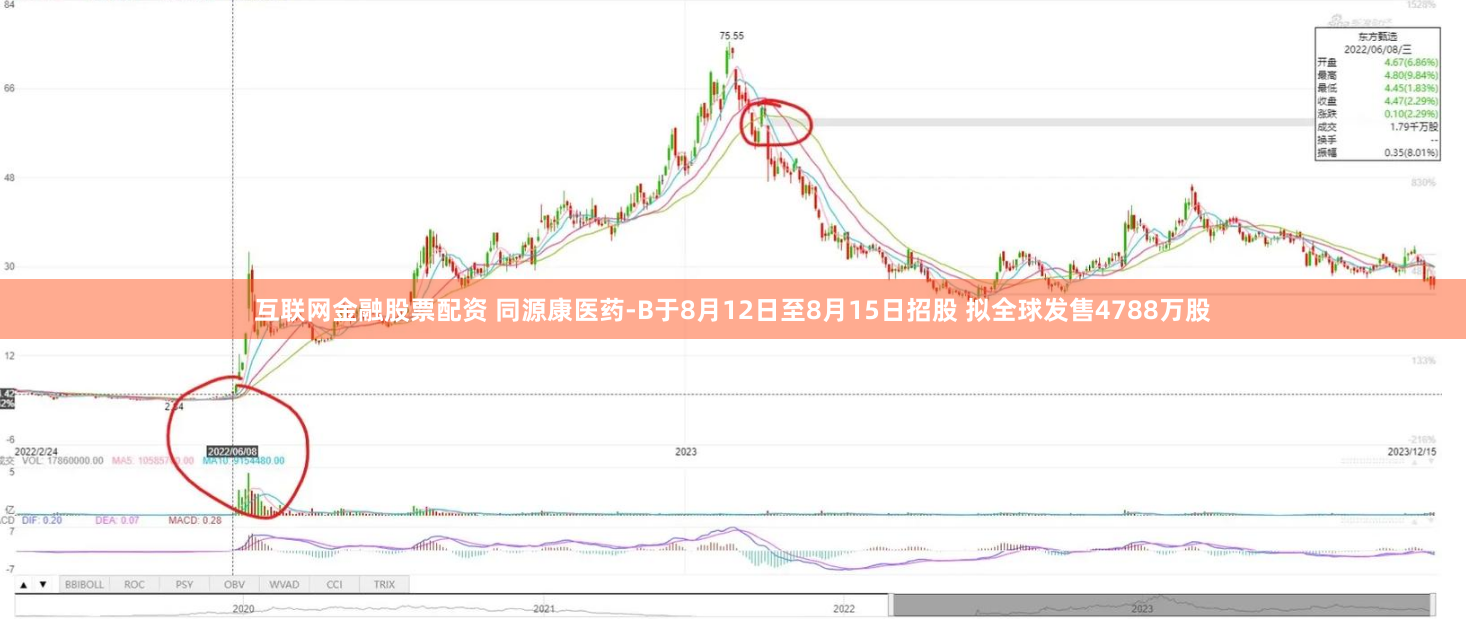 互联网金融股票配资 同源康医药-B于8月12日至8月15日招股 拟全球发售4788万股