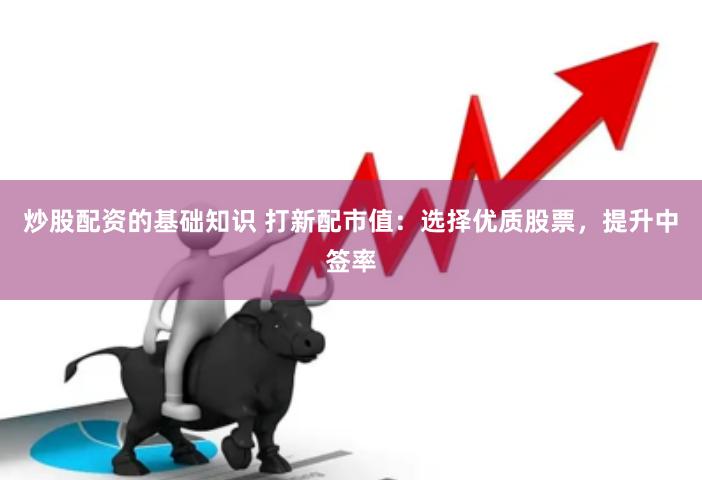 炒股配资的基础知识 打新配市值：选择优质股票，提升中签率