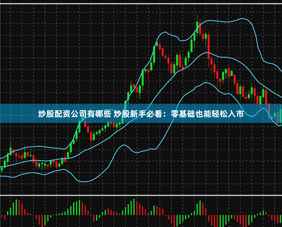 炒股配资公司有哪些 炒股新手必看：零基础也能轻松入市